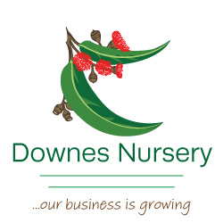 Downes Wholesale Nursery